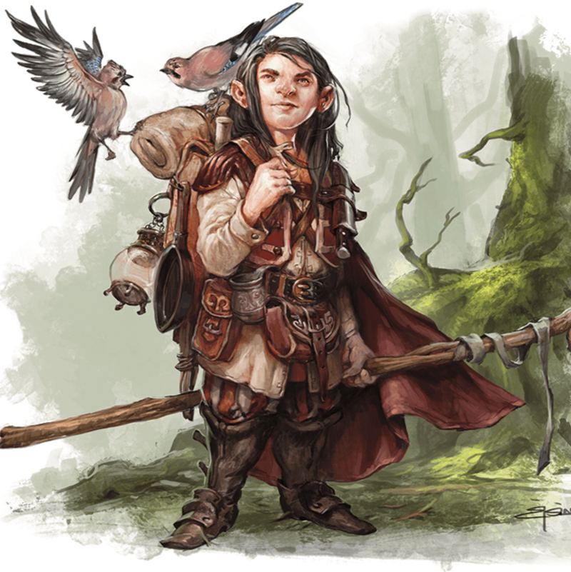 Official D&D image of travelling druid, surrounded by birds.